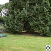 erste bildergalerie 878038 002